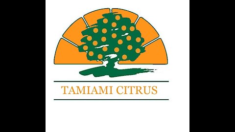 Tamiami Citrus' Hog Island Grove development: pre-development video