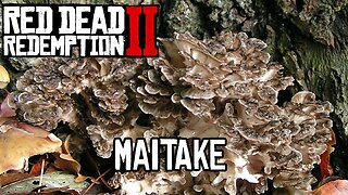 Localização do Maitake Red Dead Online