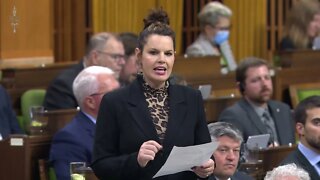 Michelle Ferreri Slams Liberals for Hiking Taxes