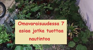 7 syytä olla omavarainen - oma näkökulma