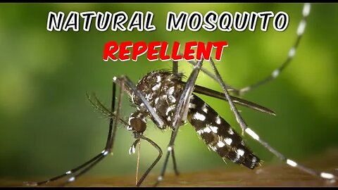 Natural Mosquito Repellent