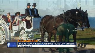 Carriage company stresses safety after accident