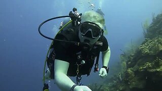 Roatan Diving 2023 v2