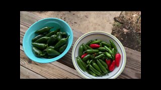 Prepping $$$ Farmer knowledge