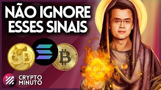 BINANCE TRANSFERE 2 BI EM BTC - SOLANA NÃO VAI A ZERO - ADA - DOT - BNB - DOGE - SOL - CRIPTO HOJE