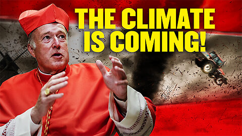 Cardinal McElroy's Climate Falsehood | The Vortex