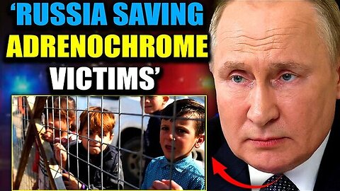 Putin Vows To Shut Down Hollywood Adrenochrome Supply Chain