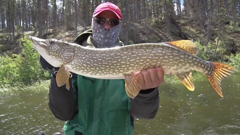 Pike Fishing in Wollaston Lake