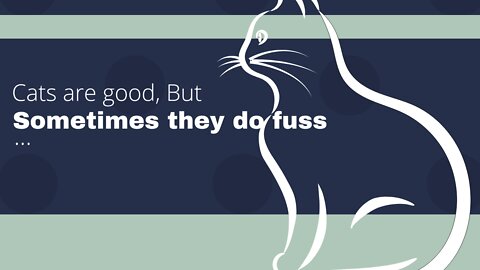 Good cats, Do fuss