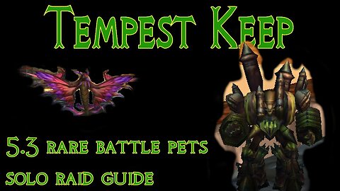 Tempest Keep 5.3 rare battle pets | raid solo tutorial guide (Burning Crusade)