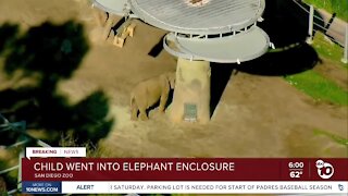 Man carries toddler into San Diego Zoo elephant enclosure, police said