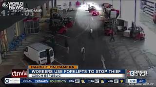 Workers use forklifts to stop thief