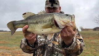 GIANT BASS COMES OFF AT SHORE AND I DIVE IN FOR IT!