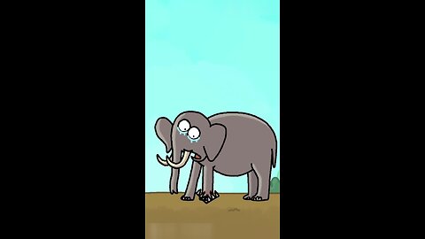 Funny Animal video And girl Elephant 🐘 help a girl