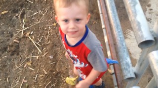 A Little Boy Gets His Shorts Stuck In A Fence