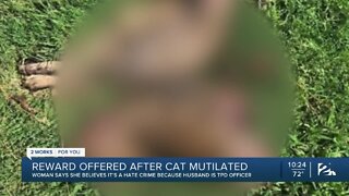 Family's cat mutilated and dumped