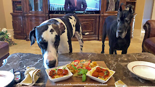 Great Danes Enjoy Spaghetti And Meatballs Like Lady And The Tramp