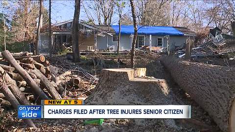 Trimmer charged after tree falls onto Sagamore Hills home, injuring elderly man