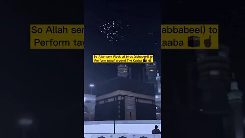 Birds Doing Tawaf Around Makkah #viral #youtubeshorts #trending #youtube