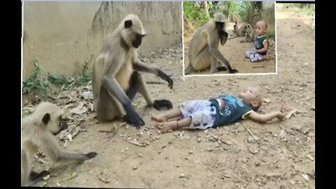 baby and monkey video, very dangerous video,