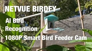 Netvue birdfy Bird Feeder
