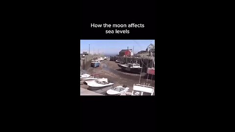 moon effect the earth sea level