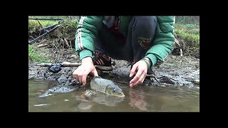 Wild fishing | Bushcraft | easily catch fish in the stream with a small fishing rod in hand Ep10