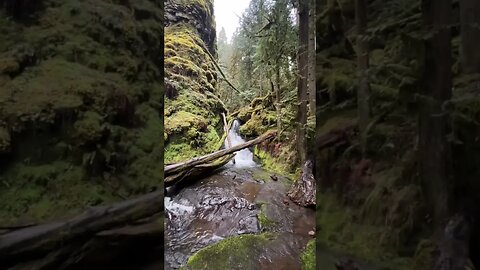 Bridge Creek Falls