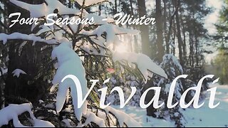 Vivaldi's Four Seasons - Winter - (1 hour) Classical Music for Relaxation, Reading, & Concentration