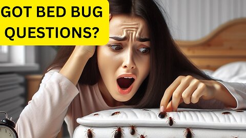 frequently asked questions about bed bugs