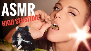 ASMR Gina Carla 🥬 Let Me (and Gundel) Stimulate Your Ears! High Sensitive!