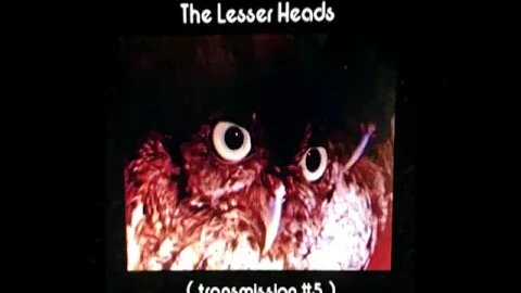 The Lesser Heads - Transmission #5 - 16 T5_Ketamine Hydrochlorine