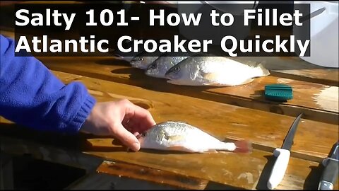 Salty 101- How to Fillet Atlantic Croaker Quickly