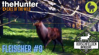 Fleischer #9 Hirschfelden | theHunter: Call of the Wild (PS5 4K)