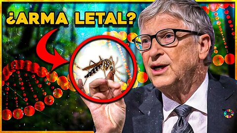 🦟 Malaria: El Nuevo Proyecto de Bill Gates [REVELADO]