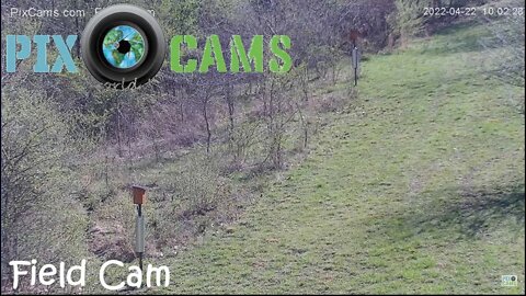 PixCams.com Field Cam Live Stream