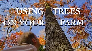 Using the Trees on Your Small Farm - The Farm Hand's Companion Show, ep 3