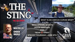 The Sting Podcast welcomes Jason Gerhard and Bear Arms