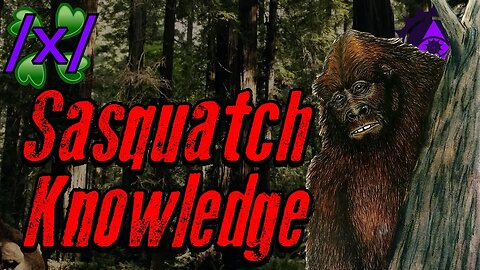 Sasquatch Knowledge | 4chan /x/ Bigfoot Greentext Stories Thread