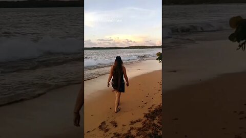 Encontré una playa escondida en Puerto Rico 🇵🇷