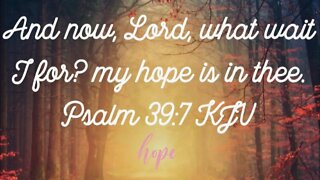 Is Your Hope In Jesus?