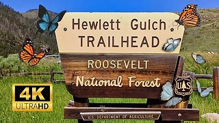 Lots of Butterflies and Wildflowers on The Hewlett Gulch Trail.