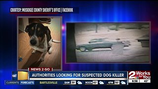 Authorities looking for suspected dog killer