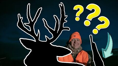 My INSANE Montana Mule Deer!!! [SNEAK PEEK VIDEO]