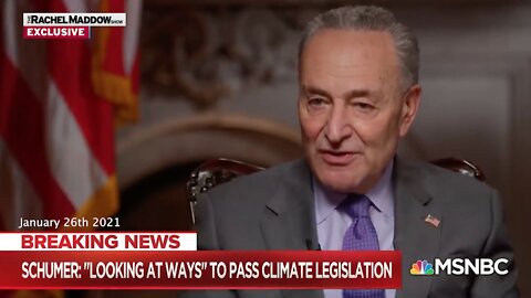 Climate Emergency | Why Did Senate Majority Leader Chuck Schumer Say "I Think It Would Be a Good Idea for Biden to Call for a Climate Emergency?"