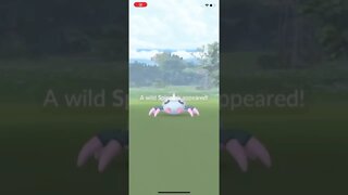 Shiny Spinarak