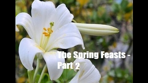 The Spring Feasts 2020 - Part 2