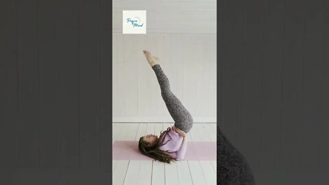 Plow Pose (Halasana) For Fat Burn #yoga #fatburn #shorts