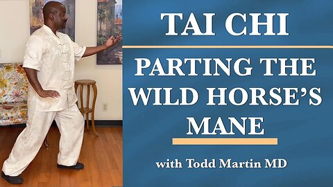 Tai Chi Parting the Wild Horse's Mane Understanding the Core Movements and Energies