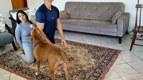 Exercício em casa: Flexão Nórdica para posteriores | Exercise at home: Nordic flexion for hamstrings